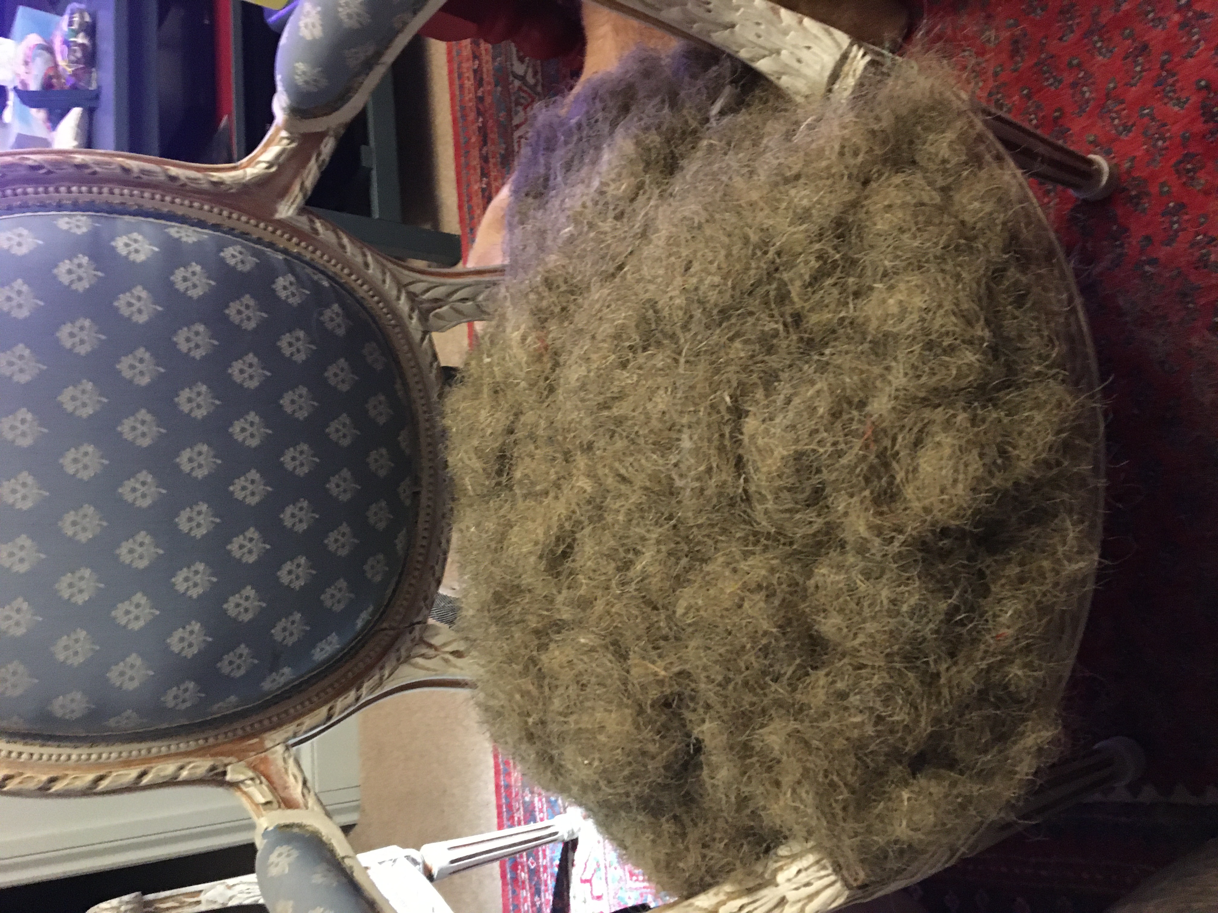 french chair in progress